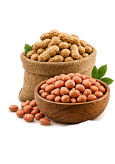 Raw groundnuts in a bowl and sack